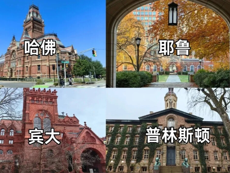 美国藤校本科硕士2025留学费用