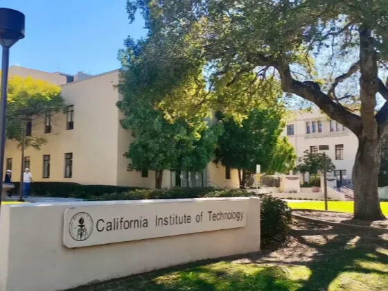 美国大学