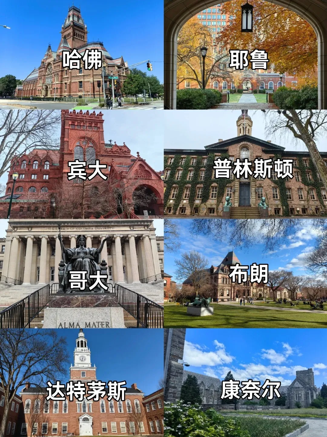 美国八大藤校校园