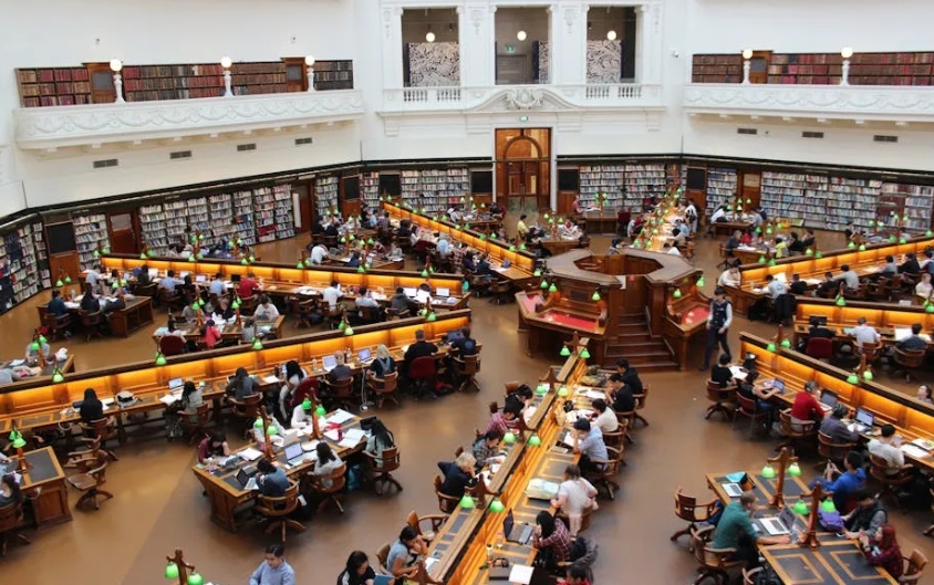 美国大学