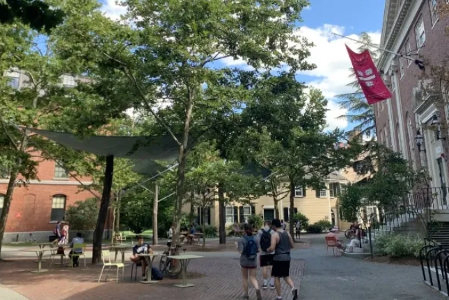 哈佛大学