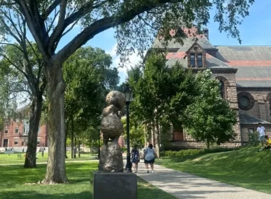 美国布朗大学