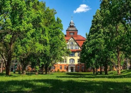 美国大学